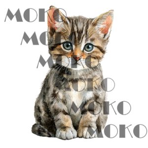 Babykatze Bügelbild, Niedliches Kätzchen Motiv in Wasserfarbe zum Aufbügeln, Süßes Haustier Design für Kinder T-Shirt und Stoffe