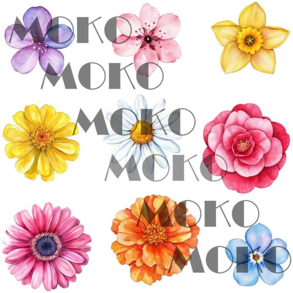 Blüten Bügelbild, Süßes Blumen Motiv in Wasserfarbe zum Aufbügeln, Florales Design für T-Shirt und Stoffe