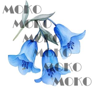 Blumen Bügelbild, Blaue Blüten Motiv in Wasserfarbe zum Aufbügeln, Florales Design für T-Shirt und Stoffe