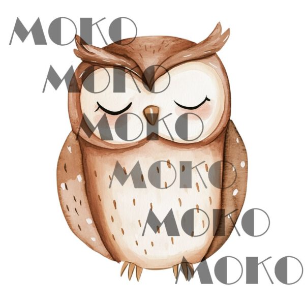 Eule Bügelbild, Niedliches Vogel Motiv in Wasserfarbe zum Aufbügeln, Lustiges Waldtier Design für Kinder T-Shirt und Stoffe