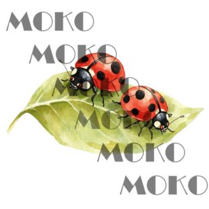Marienkäfer Bügelbild, Süßes Insekten Motiv auf Blatt in Wasserfarbe zum Aufbügeln, Niedliches Natur Design für Kinder T-Shirt und Stoffe