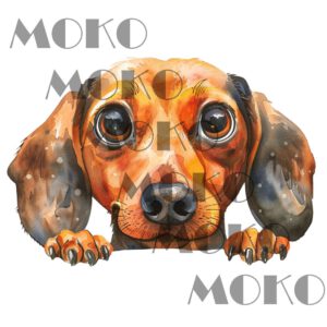 Dackel Bügelbild, Süßer Dackelkopf in Aquarelloptik, Niedliches Hundemotiv für Kinder T-Shirt, Babykleidung und Stoffe