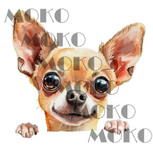 Chihuahua Bügelbild, Süßer Chihuahuakopf in Aquarelloptik, Niedliches Hundemotiv für Kinder T-Shirt, Babykleidung und Stoffe