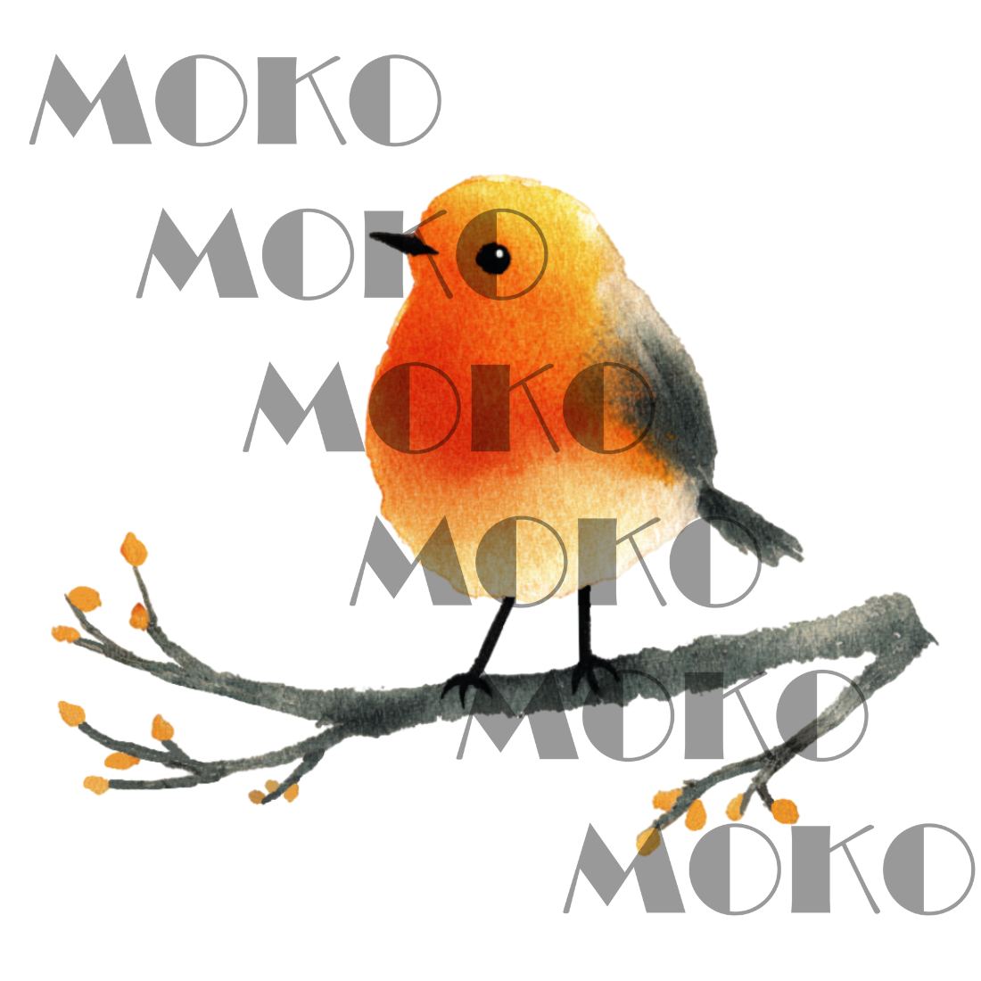 Rotkehlchen Bügelbild, Süßer Vogel in Aquarelloptik, Niedliches Waldtier Motiv für Kinder T-Shirt und Stoffe