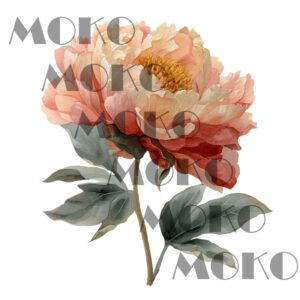 Pfingstrose Bügelbild, Elegante Blume in Aquarelloptik, Zartes florales Motiv für Kleidung, Taschen und Stoffe