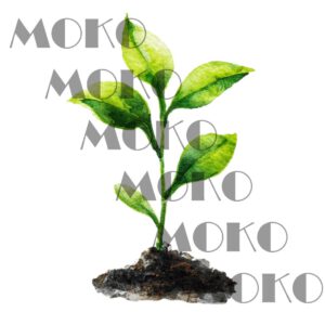 Kleinpflanze Bügelbild, Aquarelloptik, Sämling Natur Motiv für Kleidung, Taschen und Stoffe